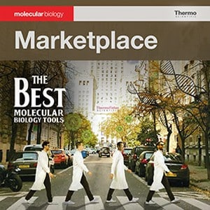 marketplace marketplace