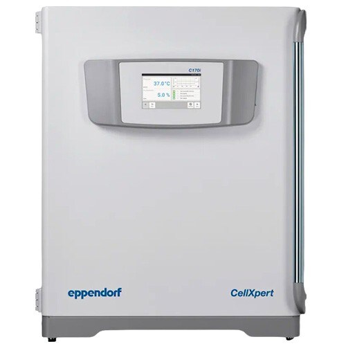 18870_Image_2 18870_Image_2