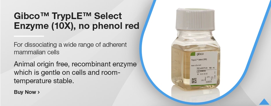 Gibco™ TrypLE™ Select Enzyme (10X), no phenol red