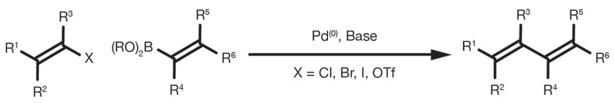 Suzuki_header_image_v2 Suzuki_header_image_v2